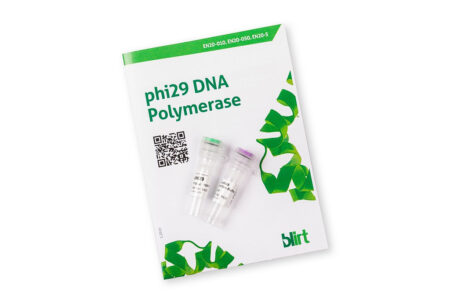 Polimeraza DNA phi29