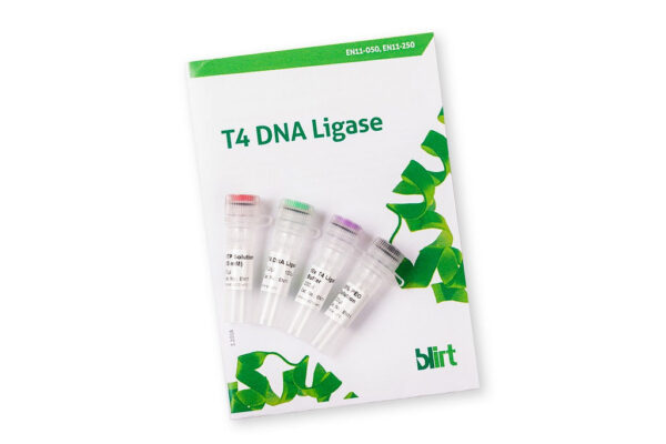 Ligaza DNA T4 EN11