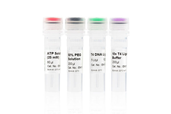 Ligaza DNA T4 EN11-050