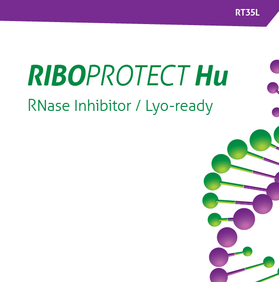 Inhibitor RNaz